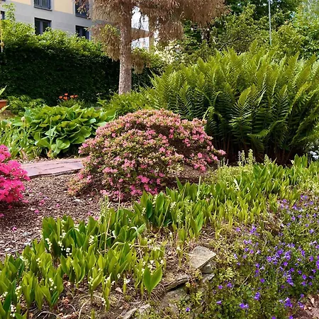 Ankommen Und Wohlfuehlen! 104 Qm In Altstadt-naehe * Dresden