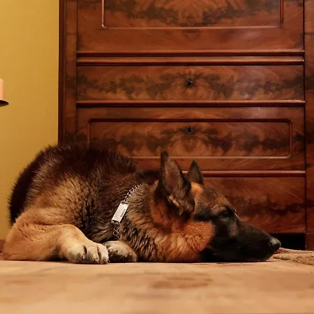 Διαμέρισμα Ankommen Und Wohlfuehlen! 104 Qm In Altstadt-naehe