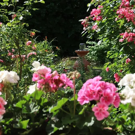 Ankommen Und Wohlfuehlen! 104 Qm In Altstadt-naehe Dresden