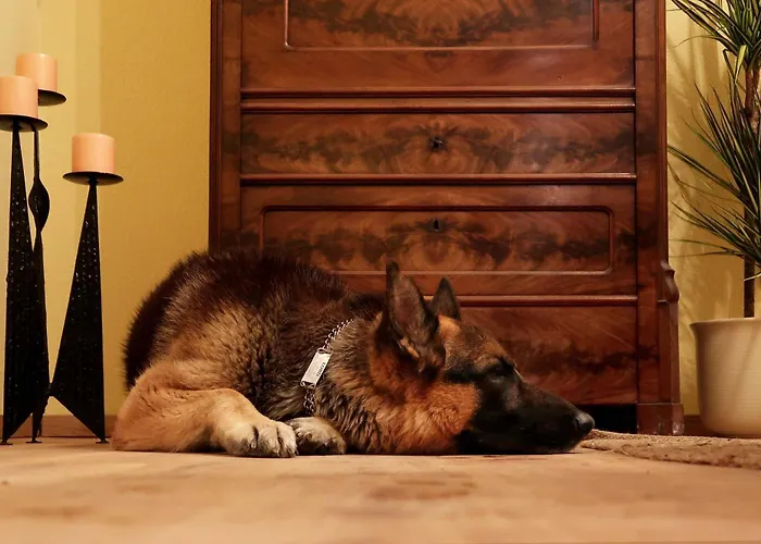 Apartamento Ankommen Und Wohlfuehlen! 104 Qm In Altstadt-naehe