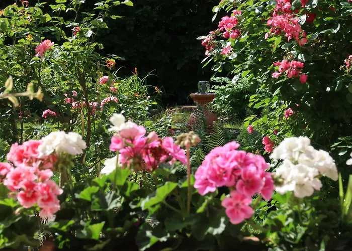 Ankommen Und Wohlfuehlen! 104 Qm In Altstadt-naehe Dresden